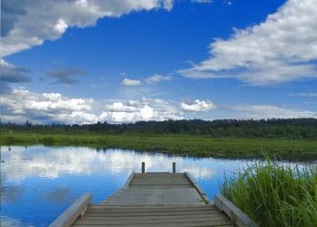 Burnaby Lake