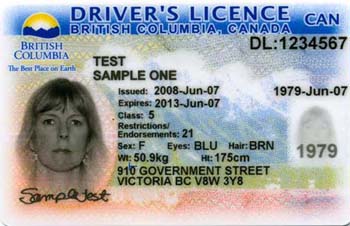 drivers license