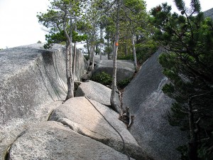 Stawamus Chief