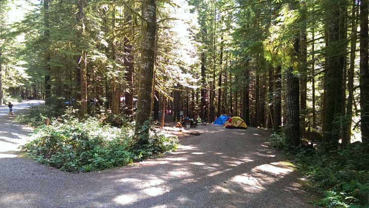 Alice Lake Camp