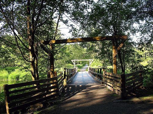 Burnaby Lake